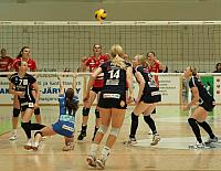IMG 10199web