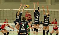IMG 9417web