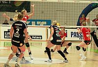 IMG 9938web