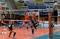 IMG 2948111