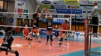 IMG 3114111a