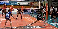 IMG 3466111