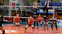IMG 3643111