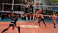 IMG 3796111