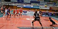 IMG 4343111